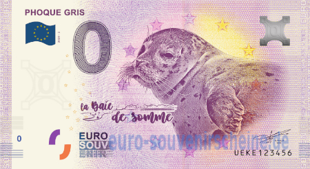 UEKE-2020-2 PHOQUE GRIS 